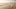 Adobestock 558118849 Adobestock 558118849
