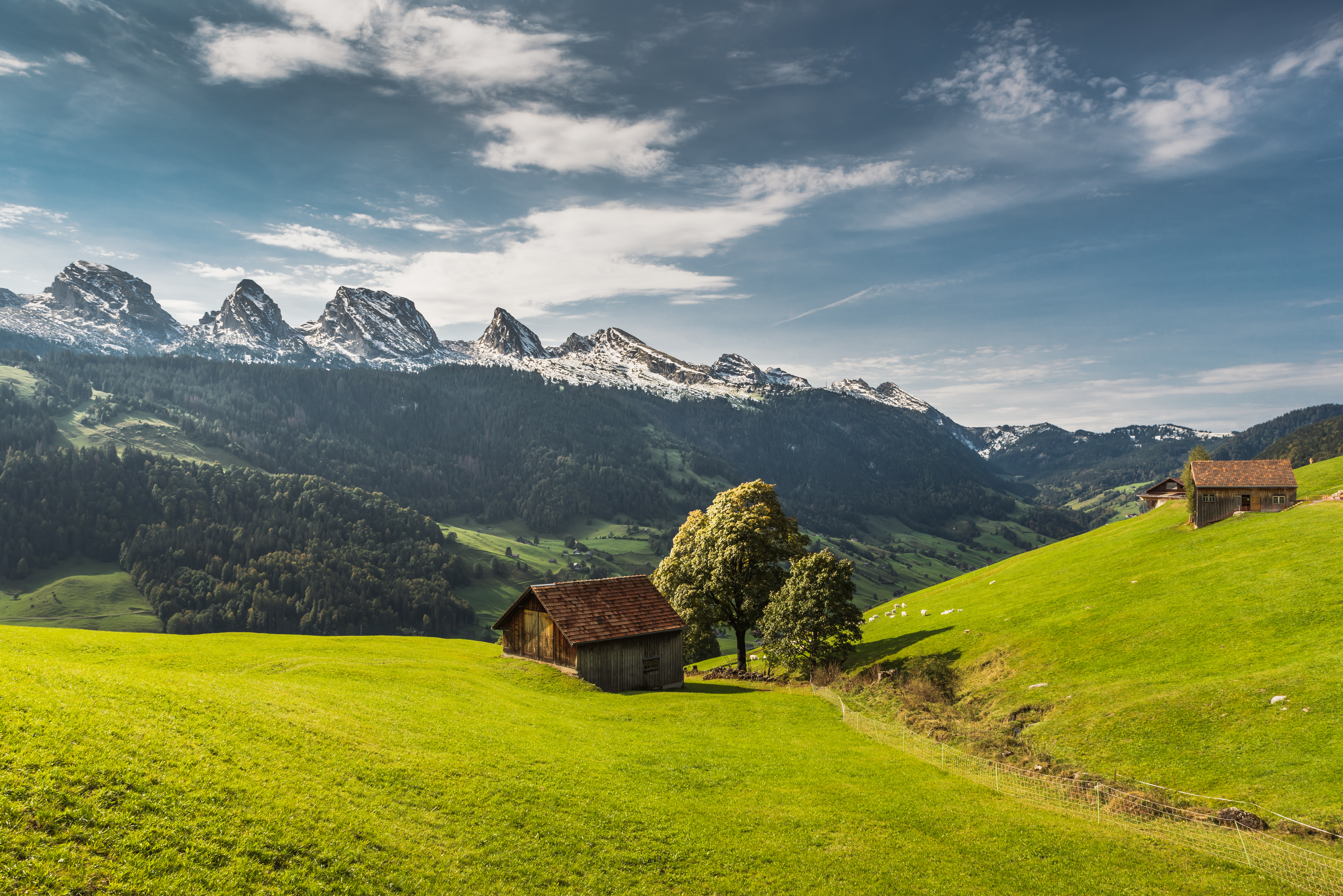 Adobestock 438957915