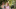 Adobestock 240001496 Adobestock 240001496